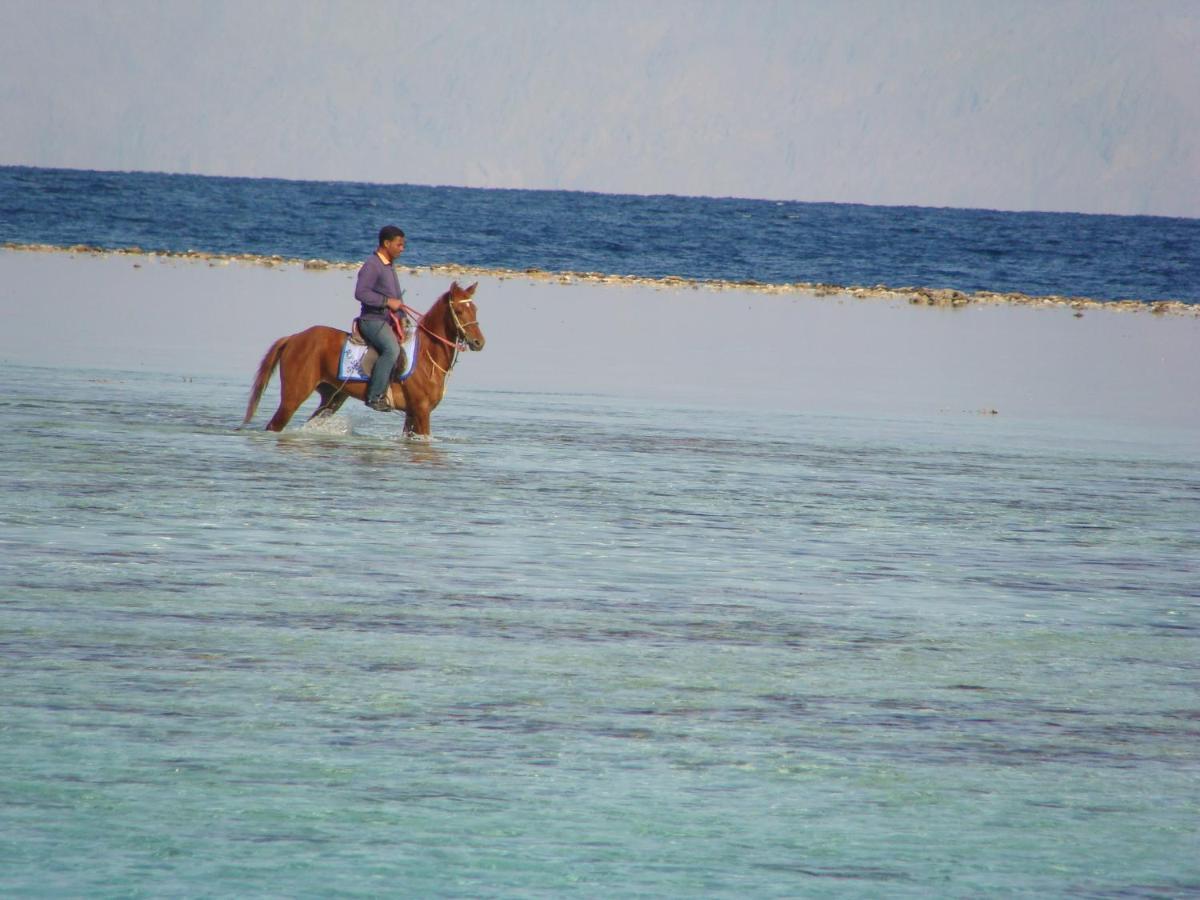Villa Boghdady Dahab Luaran gambar